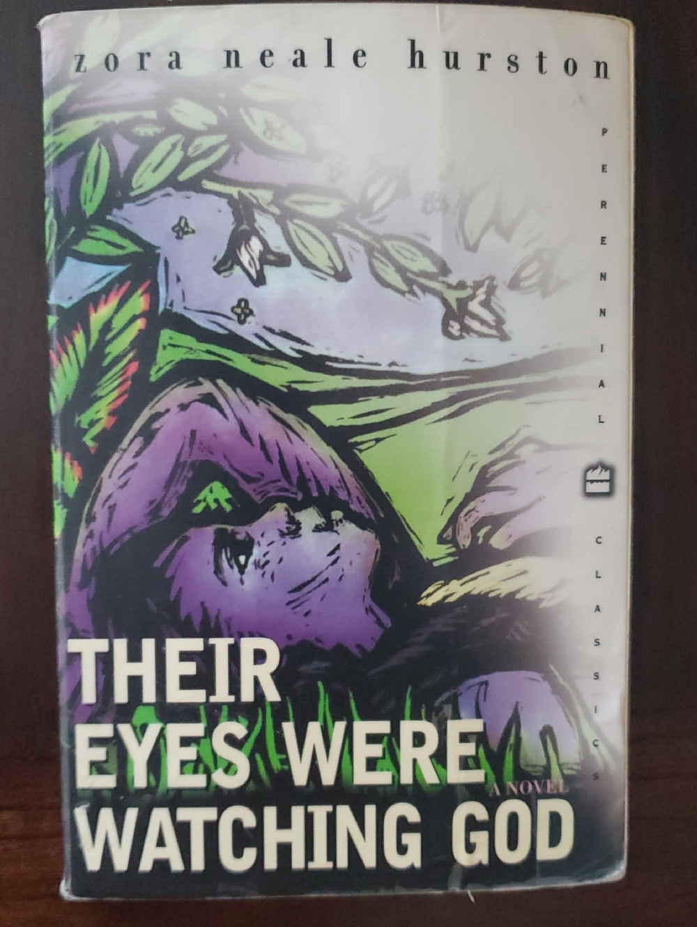 Their Eyes Were Watching God - Zora Neale Hurston (Purple & Green Cover)